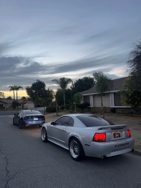 2001 Ford SN95 Mustang Cobra - Image 4 of 8