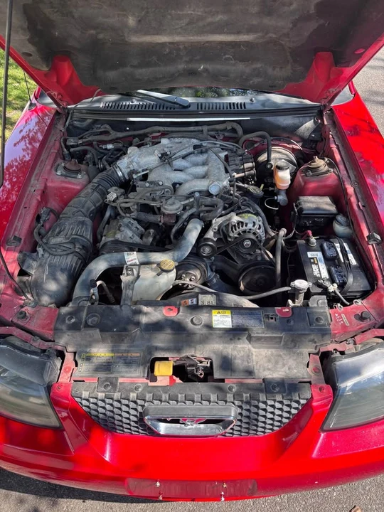 2001 Ford SN95 Mustang - Image 2 of 10