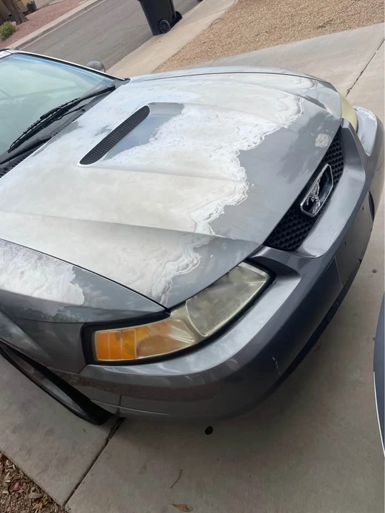 2001 Ford SN95 Mustang - Image 4 of 14