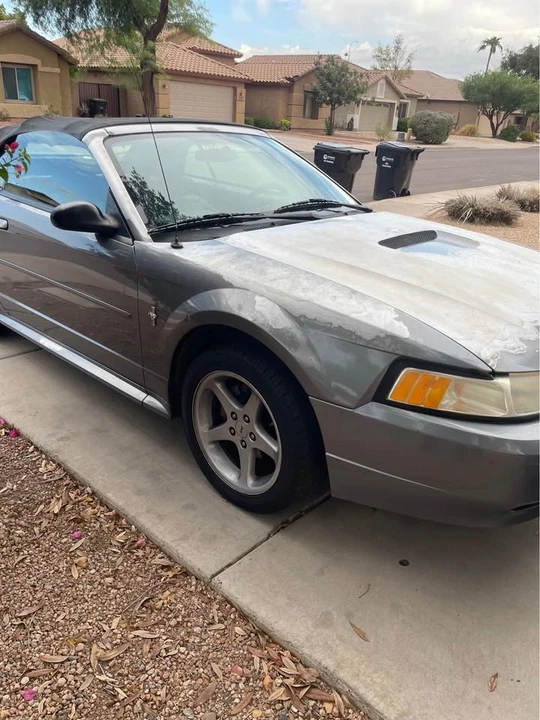 2001 Ford SN95 Mustang - Image 2 of 14
