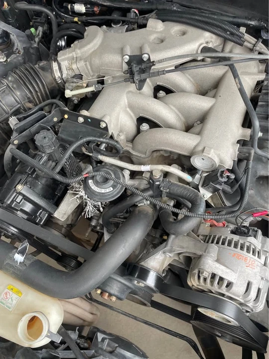 2001 Ford SN95 Mustang - Image 11 of 14