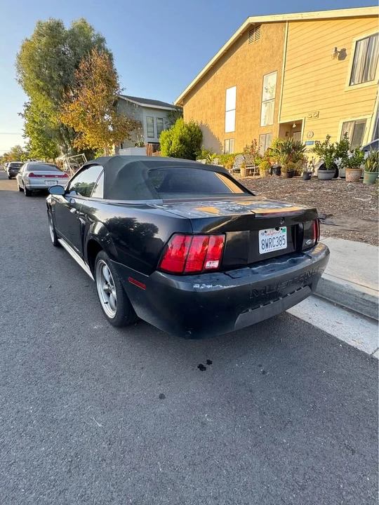 2001 Ford SN95 Mustang - Image 6 of 14