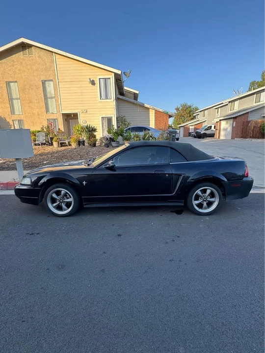 2001 Ford SN95 Mustang - Image 3 of 14