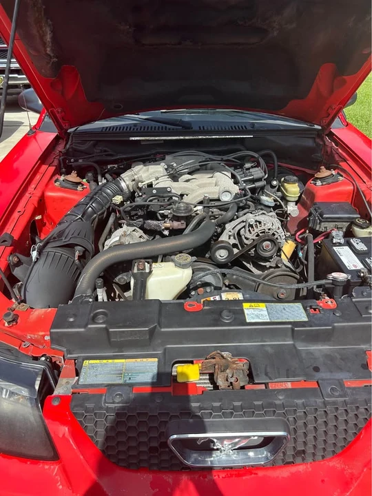 2001 Ford SN95 Mustang - Image 7 of 7