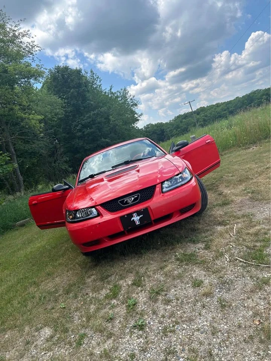 2001 Ford SN95 Mustang - Image 5 of 7