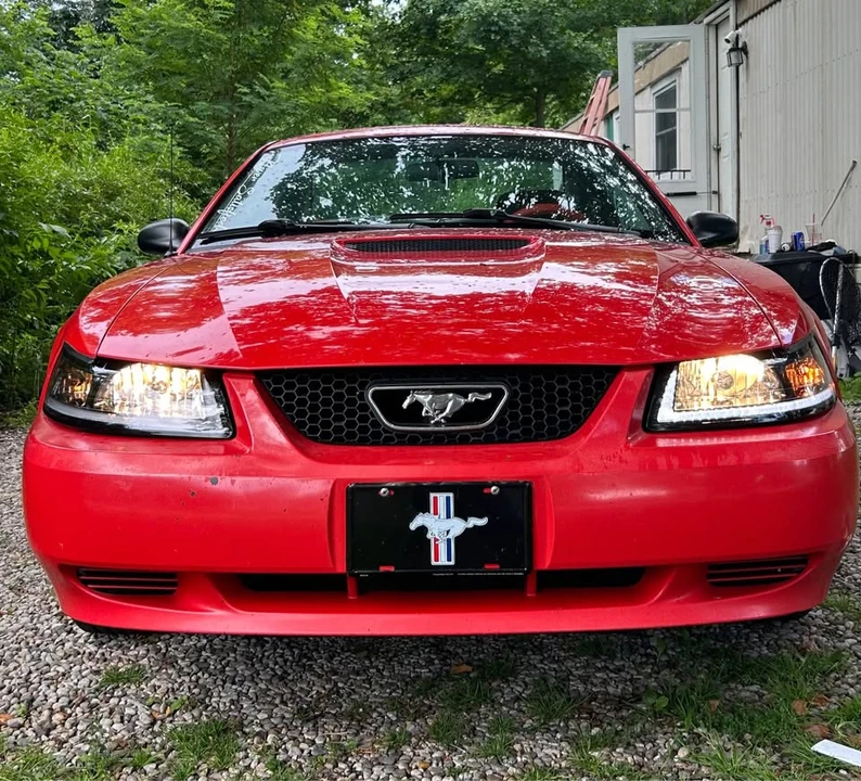 2001 Ford SN95 Mustang - Image 7 of 7