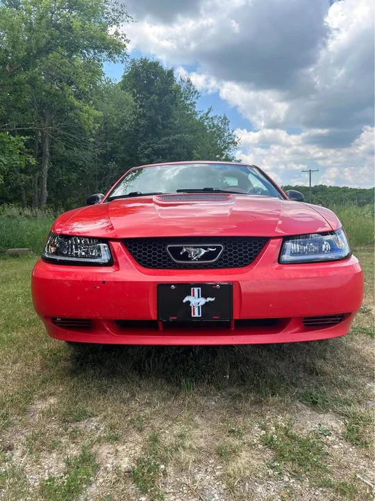 2001 Ford SN95 Mustang - Image 4 of 7