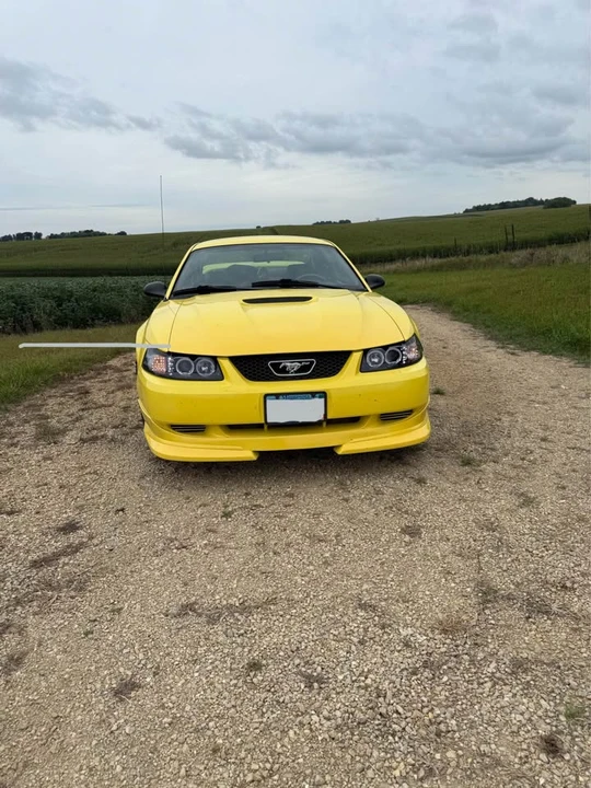 2001 Ford SN95 Mustang - Image 8 of 14