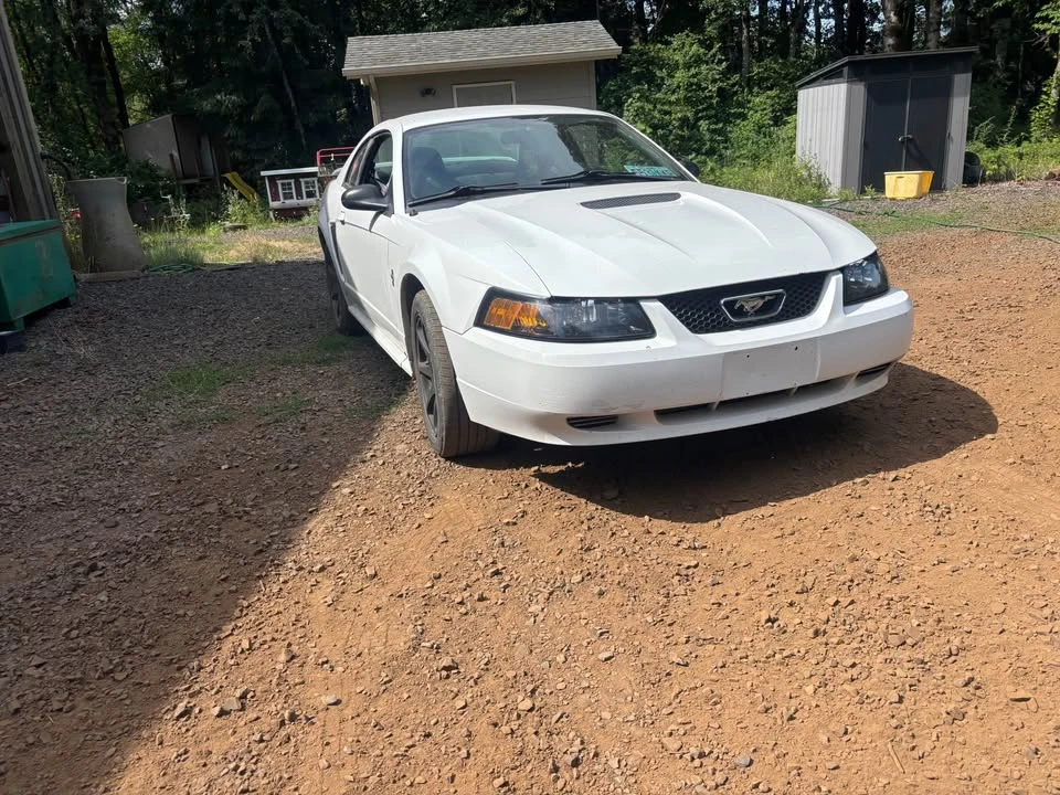 2001 Ford SN95 Mustang - Image 6 of 8