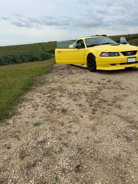 2001 Ford SN95 Mustang - Image 2 of 14
