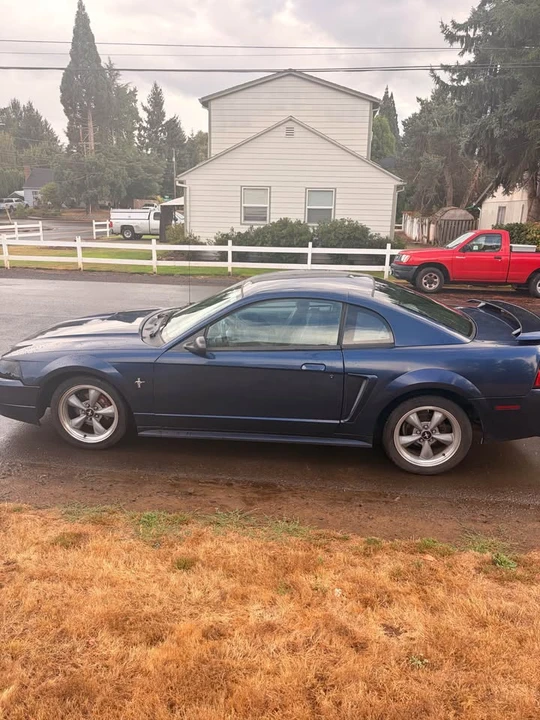 2001 Ford SN95 Mustang - Image 5 of 13
