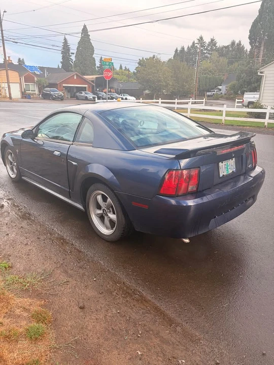2001 Ford SN95 Mustang - Image 4 of 13