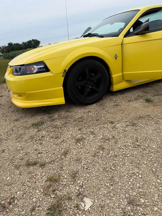 2001 Ford SN95 Mustang - Image 4 of 14