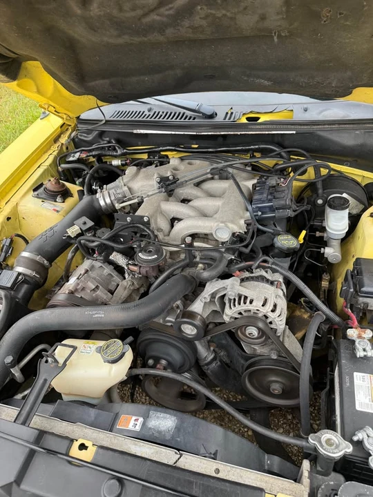 2001 Ford SN95 Mustang - Image 9 of 14
