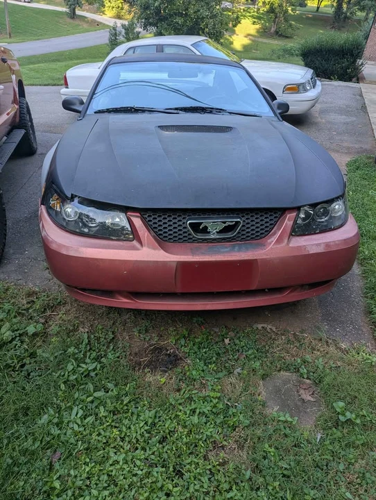 2001 Ford SN95 Mustang - Image 4 of 4