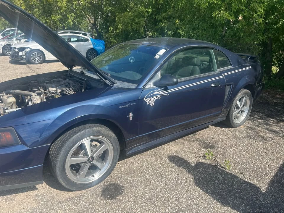 2001 Ford SN95 Mustang - Image 2 of 8