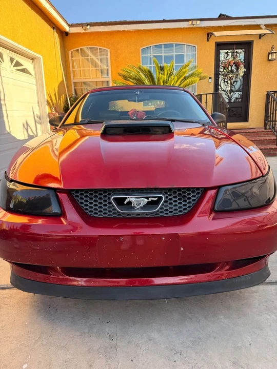 2001 Ford SN95 Mustang - Image 10 of 10