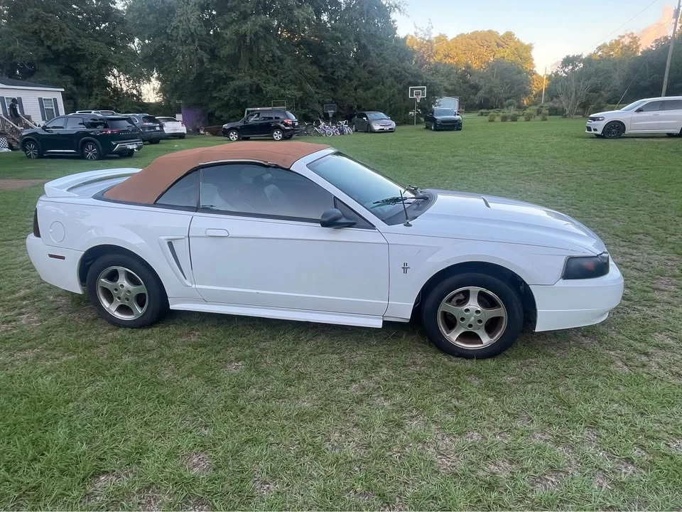 2001 Ford SN95 Mustang - Image 3 of 5