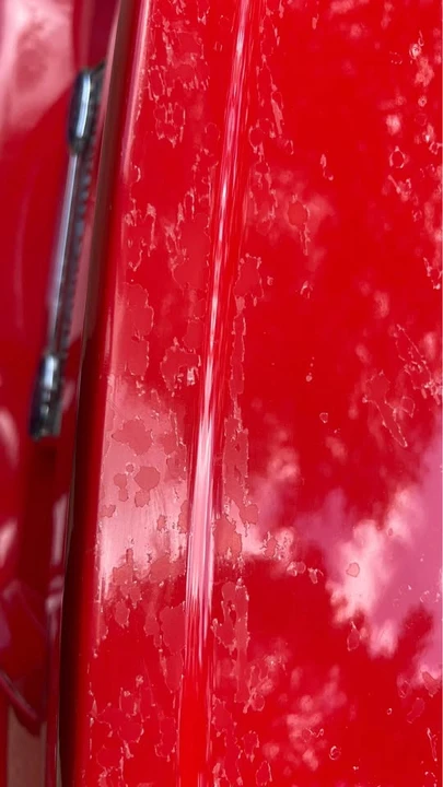 2001 Ford SN95 Mustang - Image 4 of 11