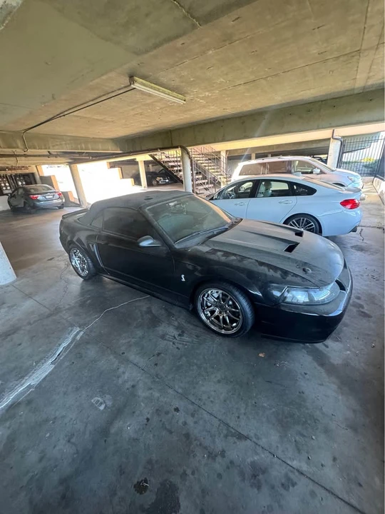2001 Ford SN95 Mustang Cobra - Image 2 of 19