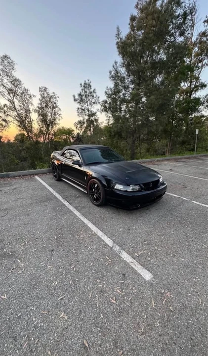 2001 Ford SN95 Mustang Cobra - Image 17 of 19