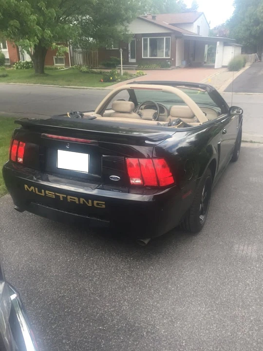2001 Ford SN95 Mustang - Image 11 of 11