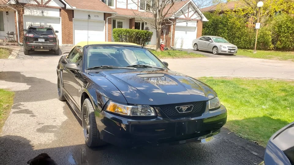2001 Ford SN95 Mustang - Image 2 of 11