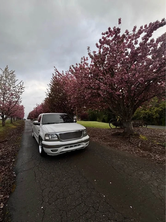 2001 Ford F-150 10th Gen - Image 3 of 4