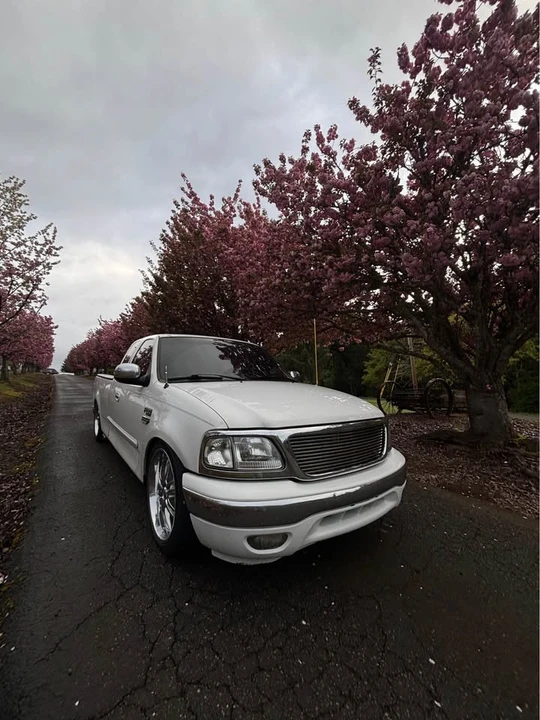 2001 Ford F-150 10th Gen - Image 2 of 4