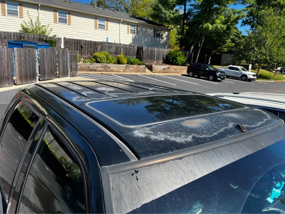2001 Ford F-150 10th Gen - Image 7 of 13