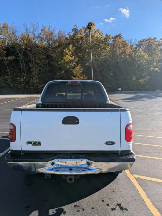 2001 Ford F-150 10th Gen - Image 2 of 11