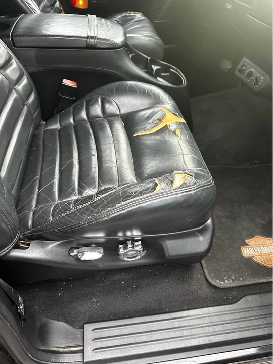 2001 Ford F-150 10th Gen - Image 6 of 13