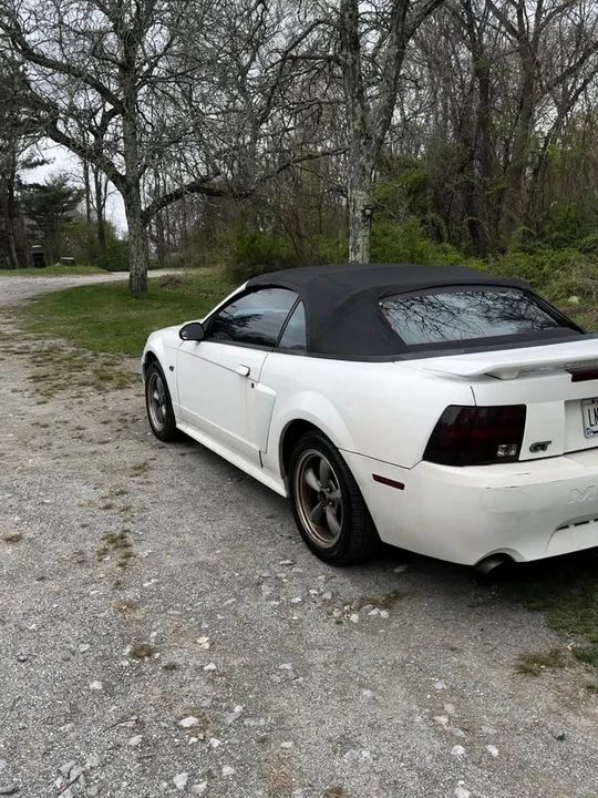 2001 Ford GT - Image 7 of 16