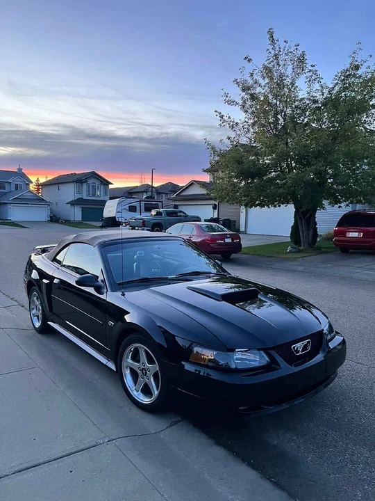 2001 Ford SN95 Mustang - Image 4 of 5