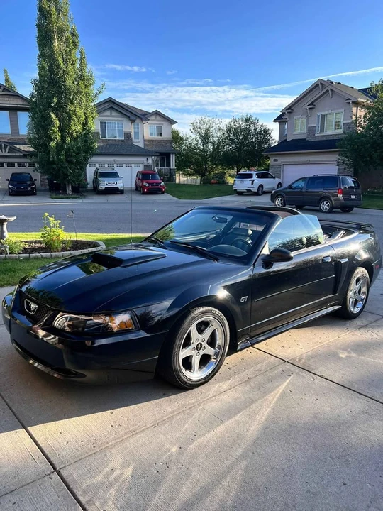 2001 Ford SN95 Mustang - Image 3 of 5