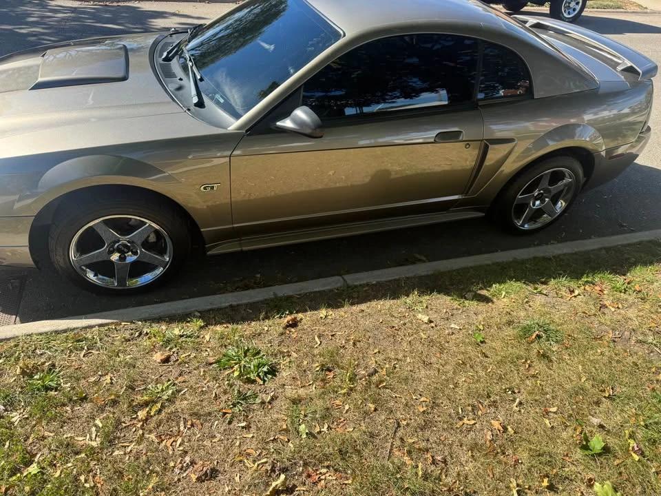 2001 Ford SN95 Mustang - Image 4 of 7