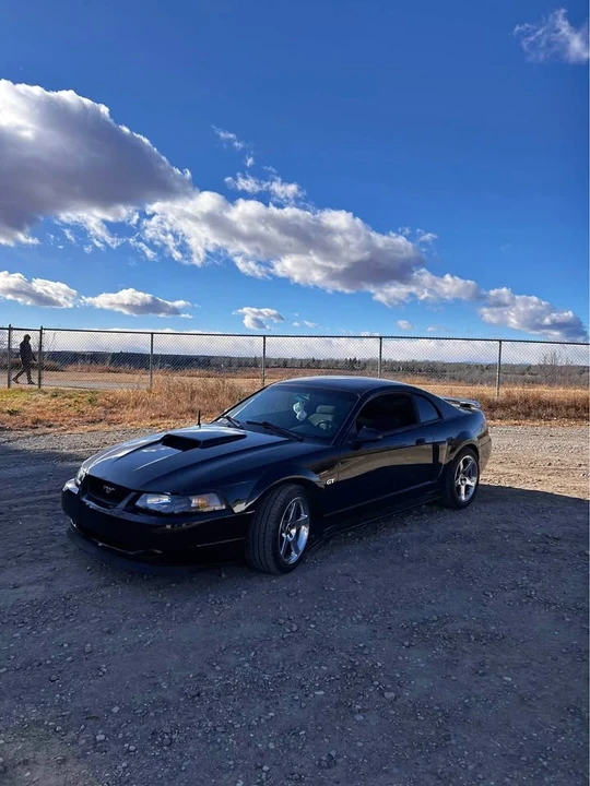 2001 Ford SN95 Mustang - Image 2 of 9