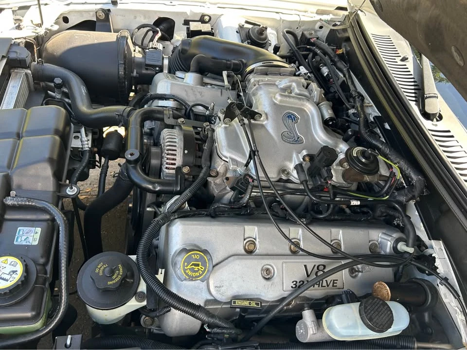2001 Ford SN95 Mustang - Image 3 of 13