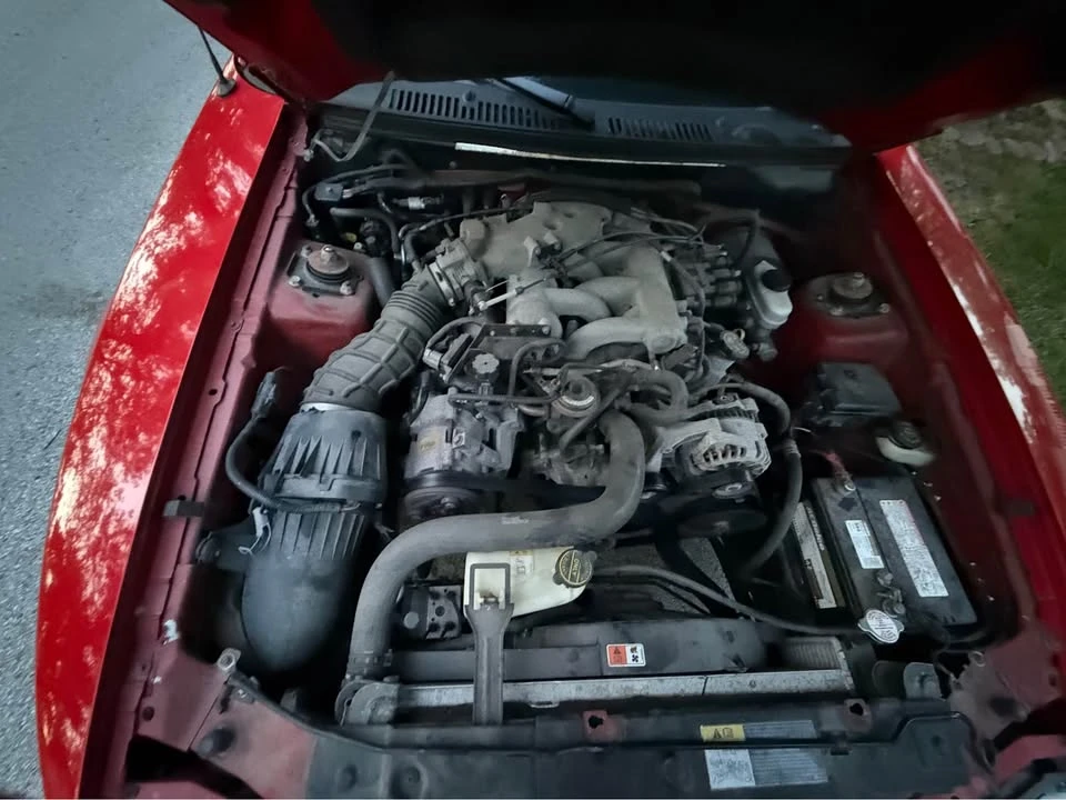 2001 Ford SN95 Mustang - Image 7 of 7