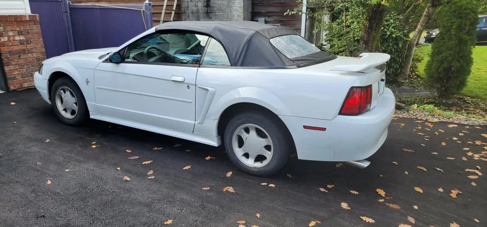 2001 Ford SN95 Mustang - Image 3 of 4