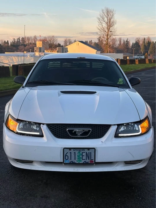2001 Ford SN95 Mustang - Image 4 of 6