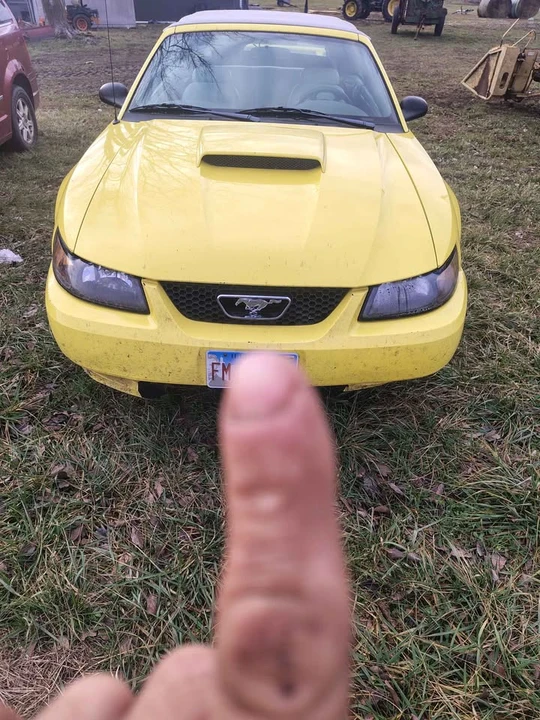 2001 Ford SN95 Mustang - Image 2 of 4