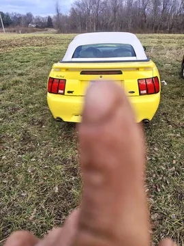 2001 Ford Mustang GT 5.0