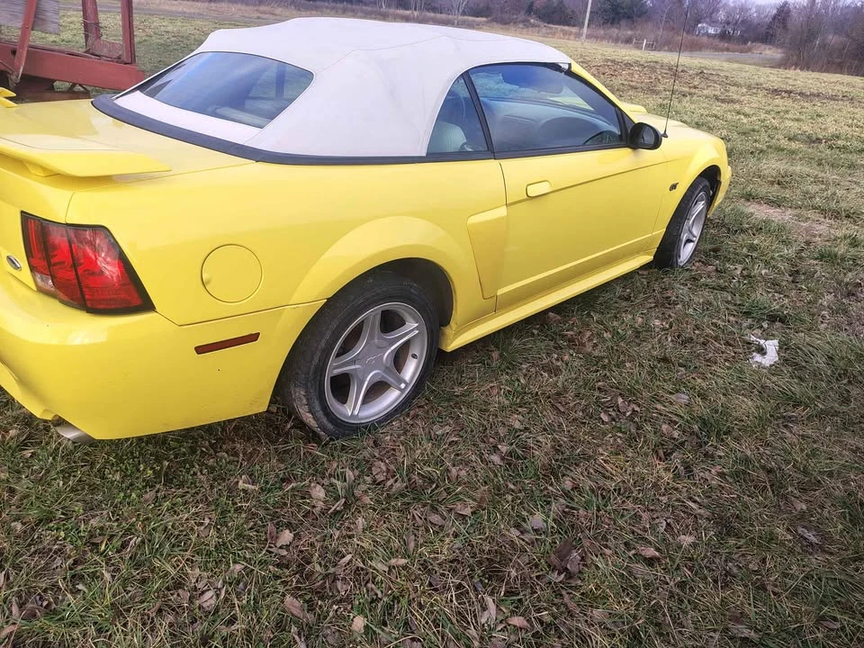 2001 Ford SN95 Mustang - Image 4 of 4