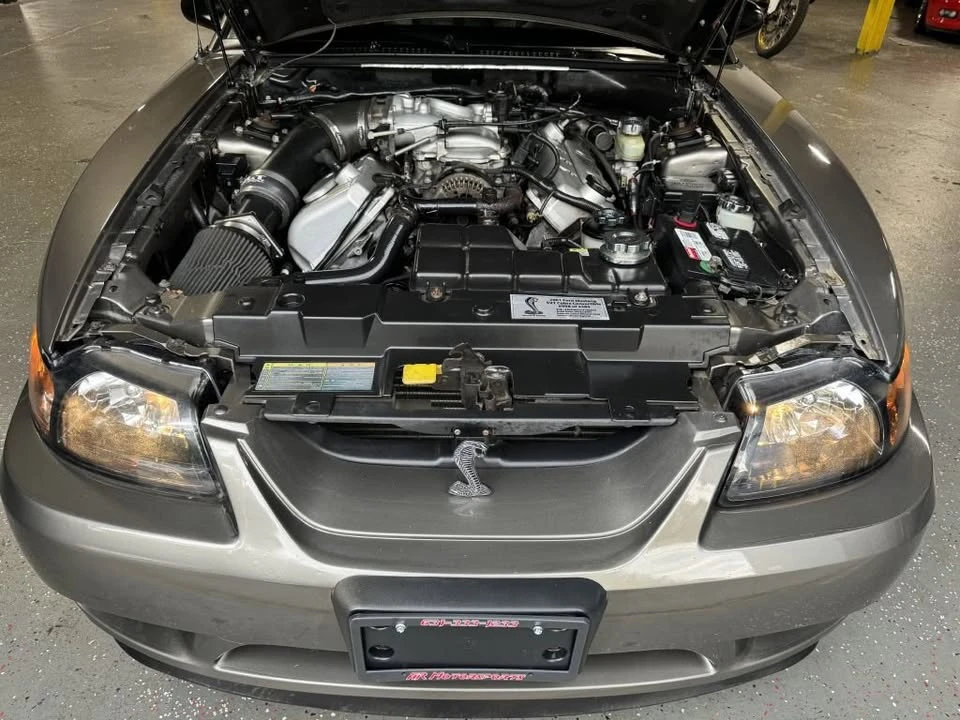 2001 Ford SN95 Mustang - Image 11 of 20
