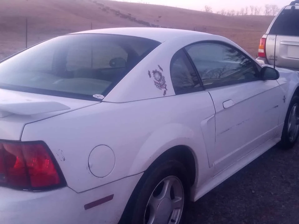 2001 Ford SN95 Mustang - Image 3 of 4