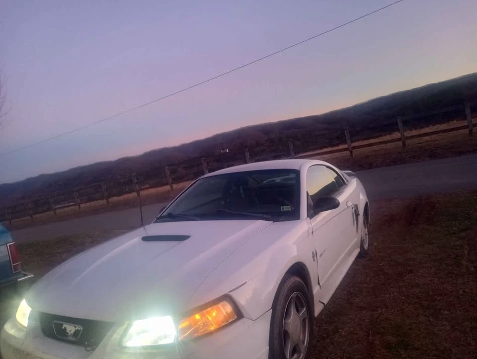 2001 Ford SN95 Mustang - Image 2 of 4