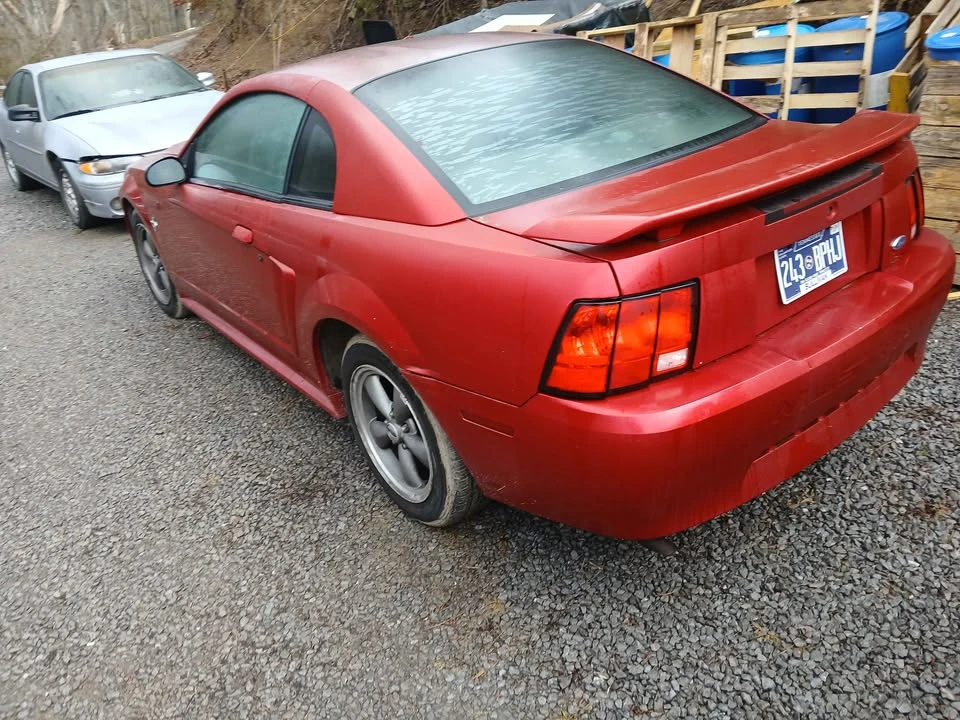 2001 Ford SN95 Mustang - Image 4 of 9