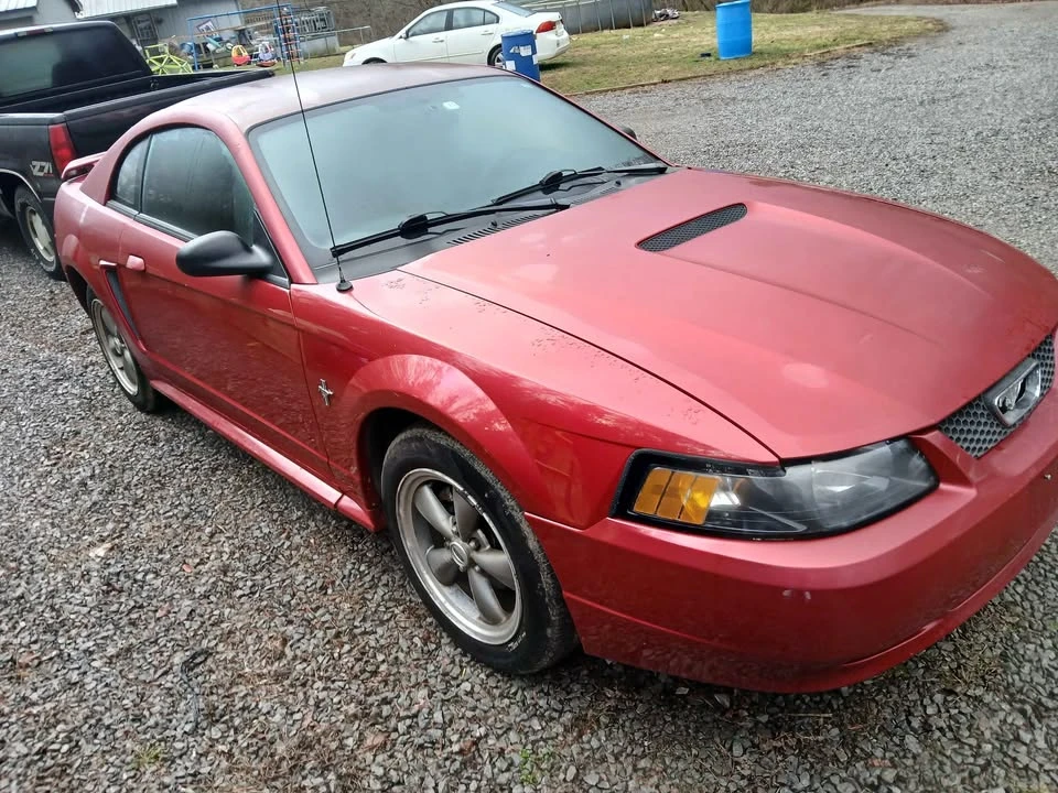 2001 Ford SN95 Mustang - Image 2 of 9