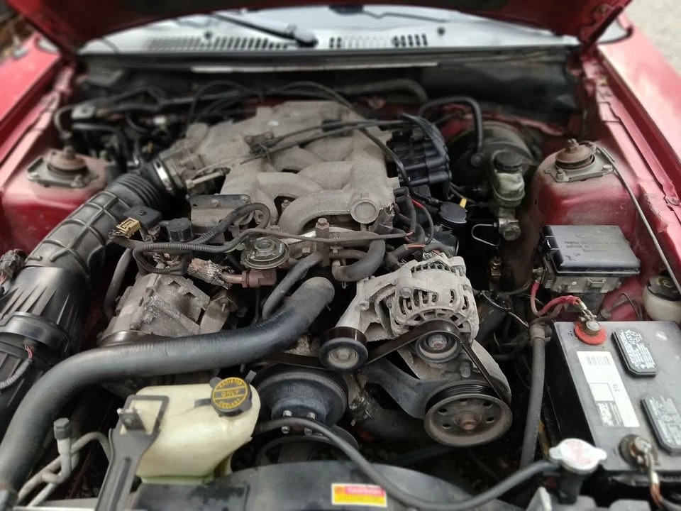2001 Ford SN95 Mustang - Image 9 of 9